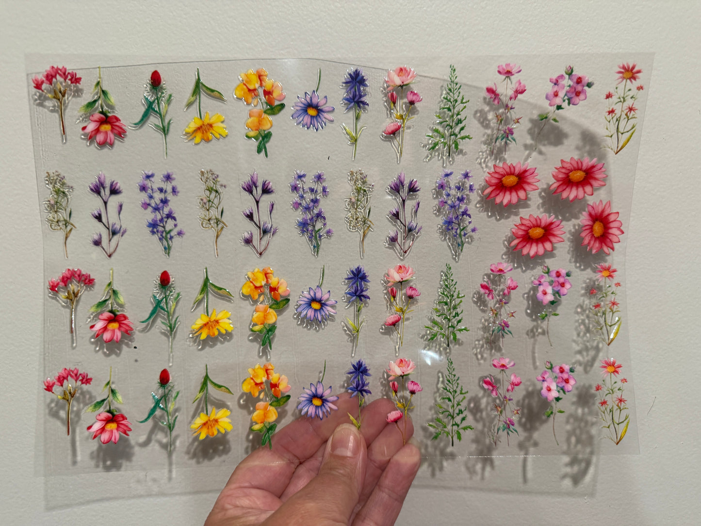 16Y Colorful Wildflowers Clip Sheet - This sheet is intended to be cut up and placed using your own creative style.