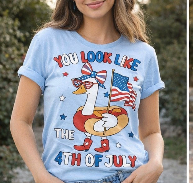 You Look Like The 4th Of July Goose Ready To Press DTF Print